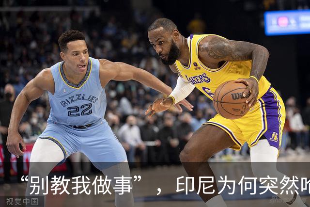 “别教我做事”，印尼为何突然呛声新加坡？