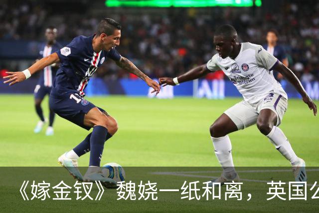 《嫁金钗》魏娆一纸和离，英国公府炸了锅！才懂贺婉娘为何拼死拦