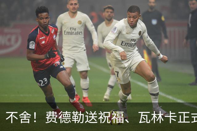 不舍！费德勒送祝福、瓦林卡正式退役