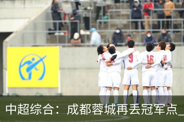 中超综合：成都蓉城再丢冠军点 武汉三镇降级