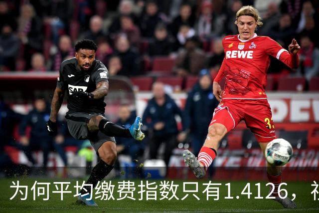 为何平均缴费指数只有1.4126，视同缴费指数却高达2.9753？