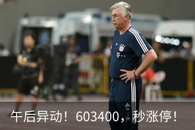 午后异动！603400，秒涨停！