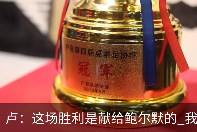 卢：这场胜利是献给鲍尔默的 我们仍在为他而战