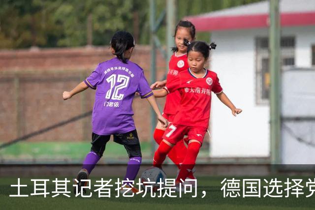 土耳其记者挖坑提问，德国选择党议员当场怒怼：一个中国不容质疑