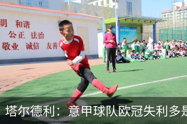 塔尔德利：意甲球队欧冠失利多是因为防守差