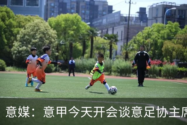 意媒：意甲今天开会谈意足协主席选举，马拉戈、加利亚尼2选1