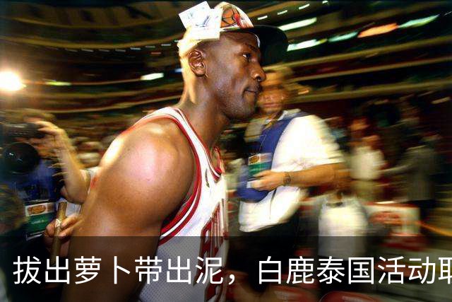 拔出萝卜带出泥，白鹿泰国活动取消后，更多细节被扒 赴泰仅开胃