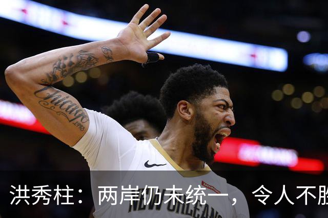 洪秀柱：两岸仍未统一，令人不胜唏嘘