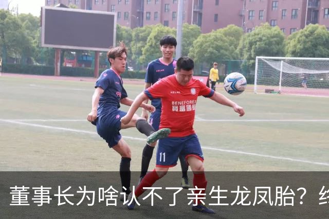 董事长为啥认不了亲生龙凤胎？终于真相大白！