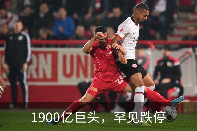 1900亿巨头，罕见跌停