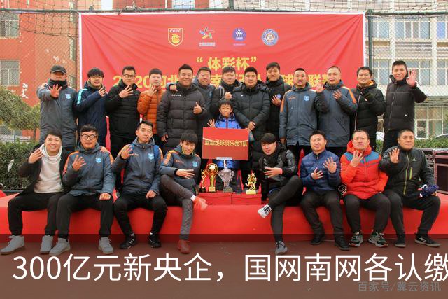 300亿元新央企，国网/南网各认缴37.5亿元