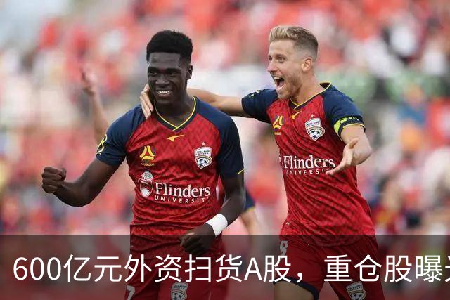 600亿元外资扫货A股，重仓股曝光